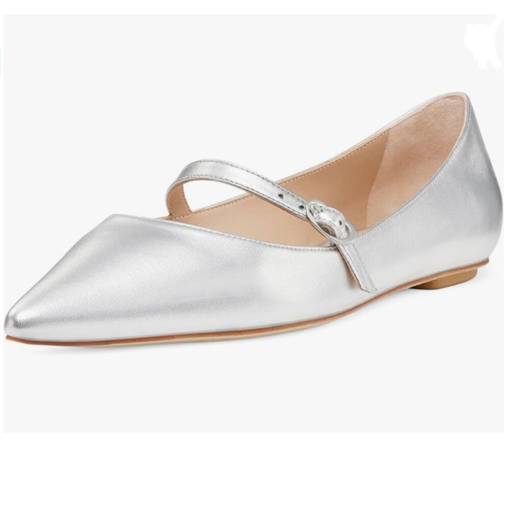 Milooey Silver Mary Jane Flats with Ankle Strap Pointed Toe Comfy Ballet Flats